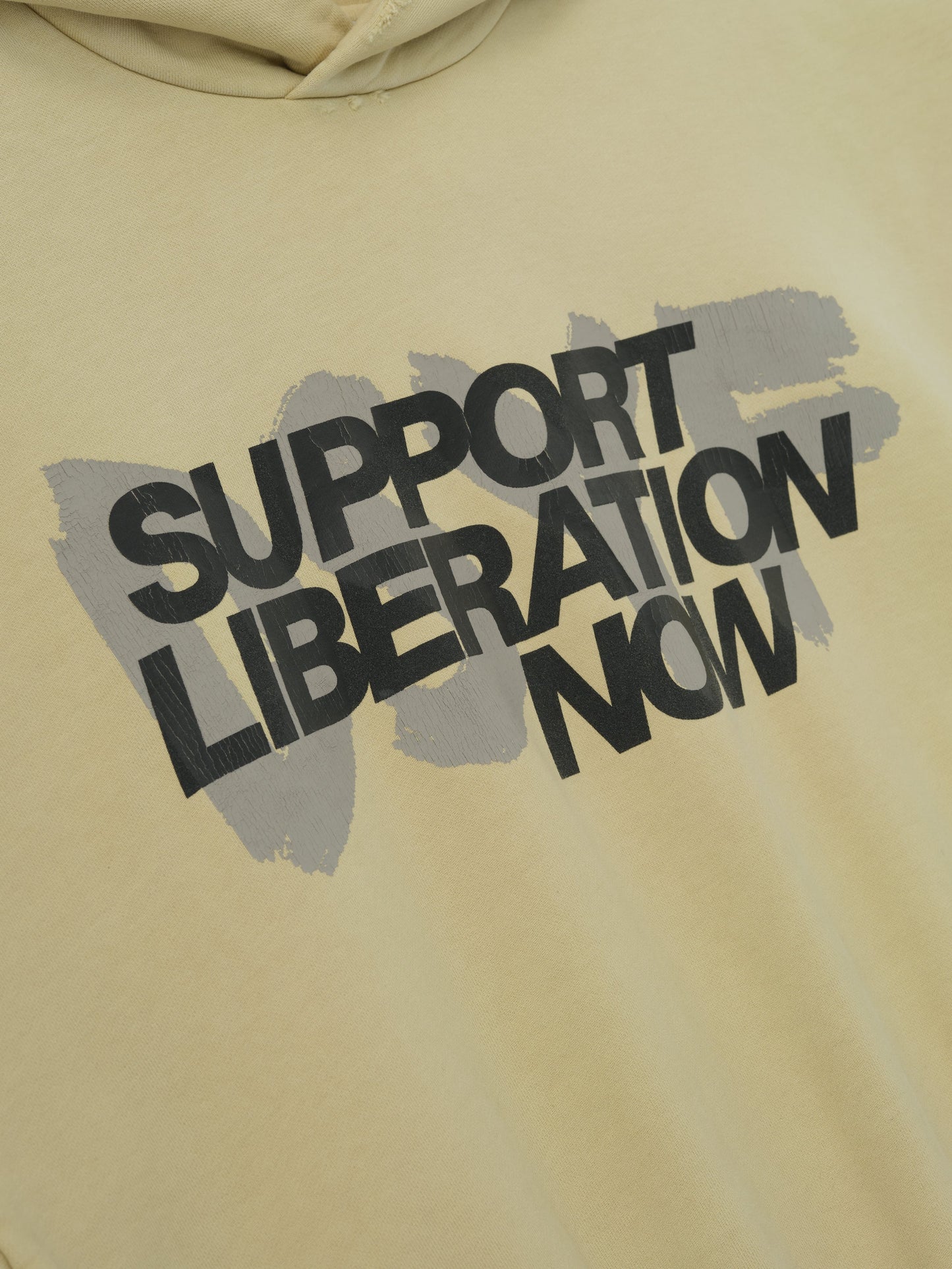Liberation Now Hoodie